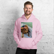 Load image into Gallery viewer, #FOS Hoodie