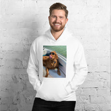 Load image into Gallery viewer, #FOS Hoodie