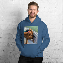 Load image into Gallery viewer, #FOS Hoodie
