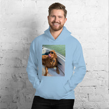 Load image into Gallery viewer, #FOS Hoodie
