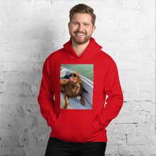 Load image into Gallery viewer, #FOS Hoodie
